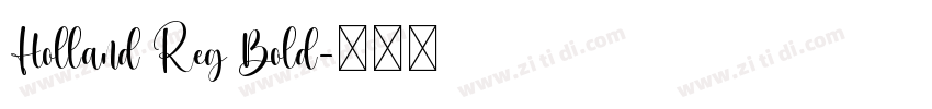 Holland Reg Bold字体转换